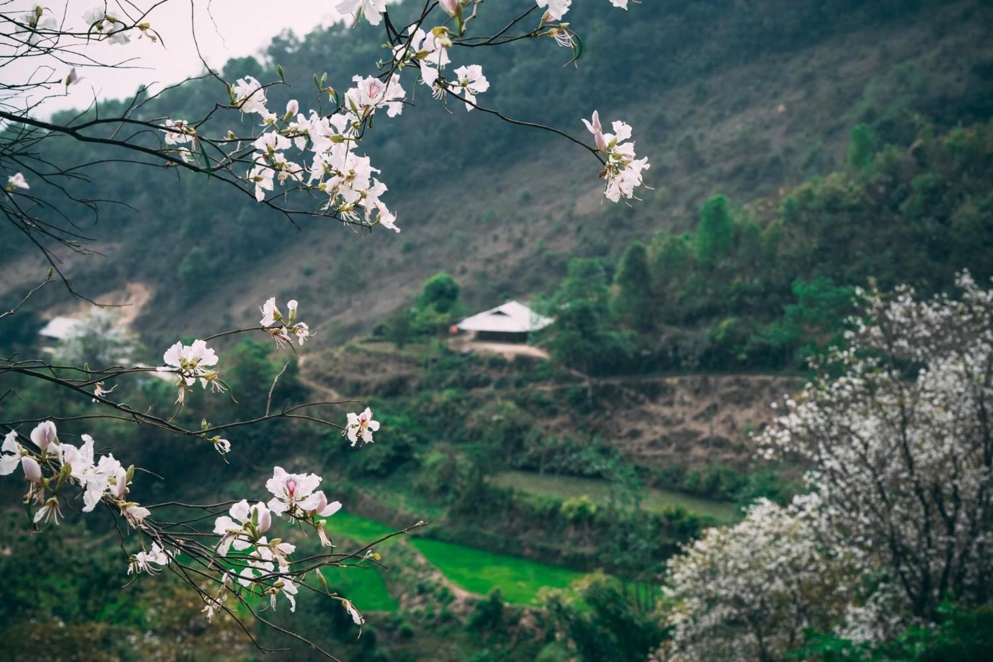 Minh Ngoc Homestay Dien Bien Phu Ban Hin Lom المظهر الخارجي الصورة