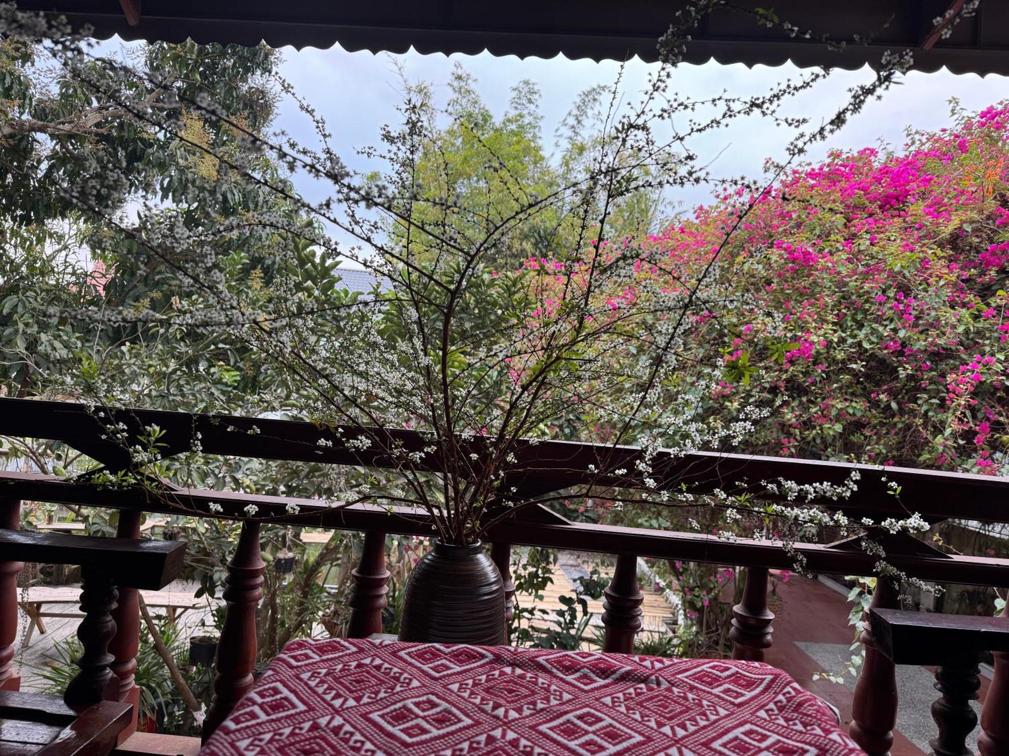 Minh Ngoc Homestay Dien Bien Phu Ban Hin Lom المظهر الخارجي الصورة